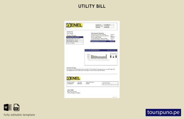 listo para imprimir Nicaragua Empresa Nicaragüense de Electricidad ENEL modelo d
